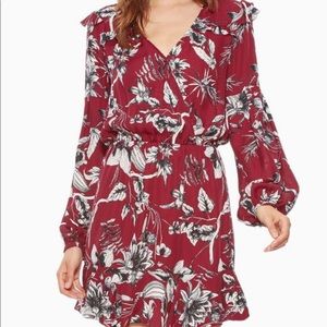 Parker NY dress NWT